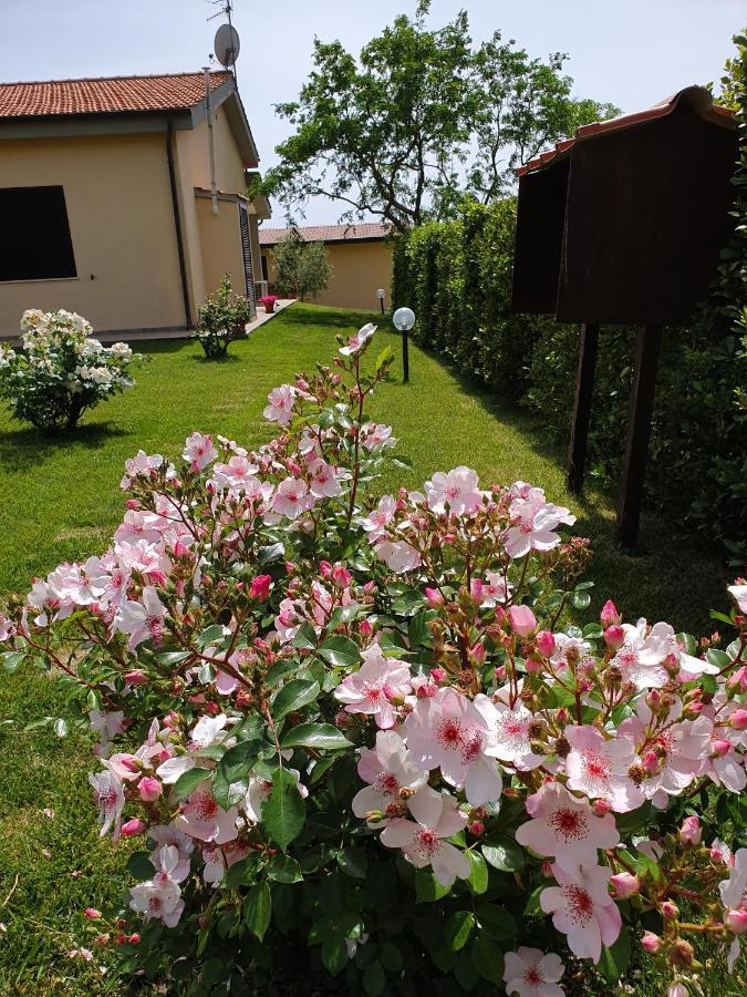 Agriturismo Severini Fonteblanda Exteriér fotografie